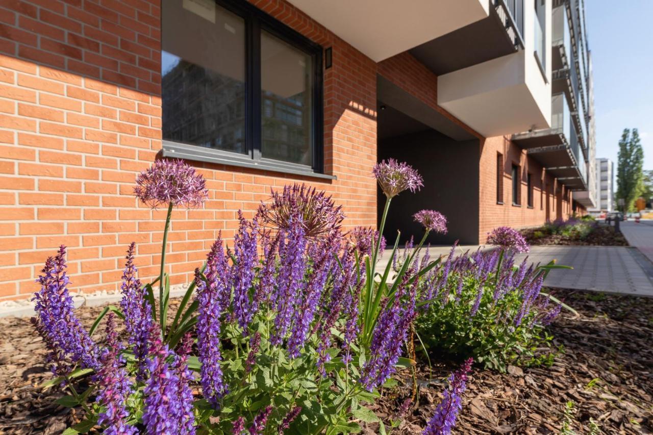 קרקוב Salsa Apartments Cracow By Renters מראה חיצוני תמונה